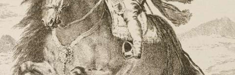 Francisco de Goya, Baltasar Carlos, after Velázquez, 19th century, detail,   etching and drypoint on paper, photo: F. Deval. 